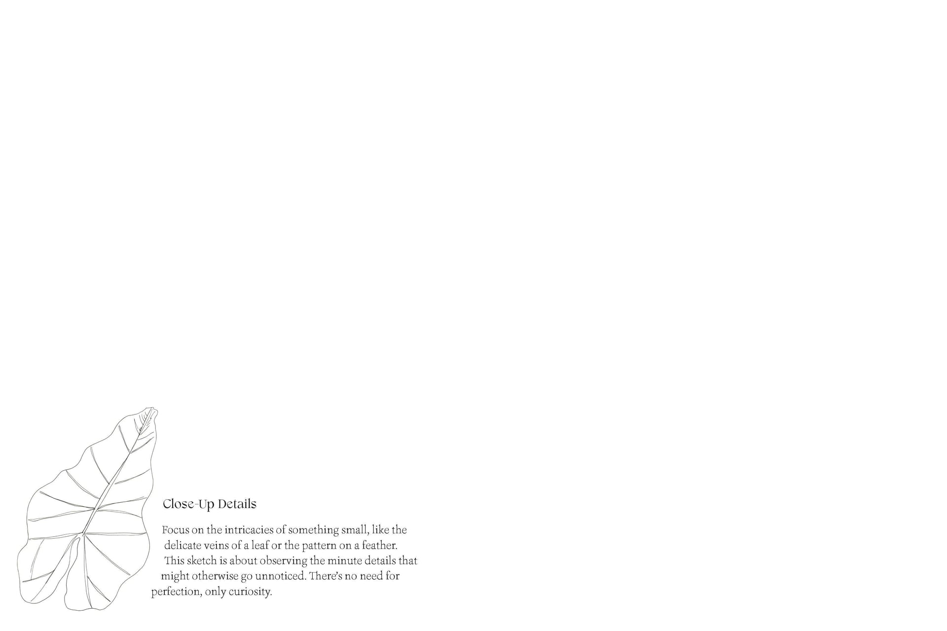 Quiet Moments: A Guided Sketchbook