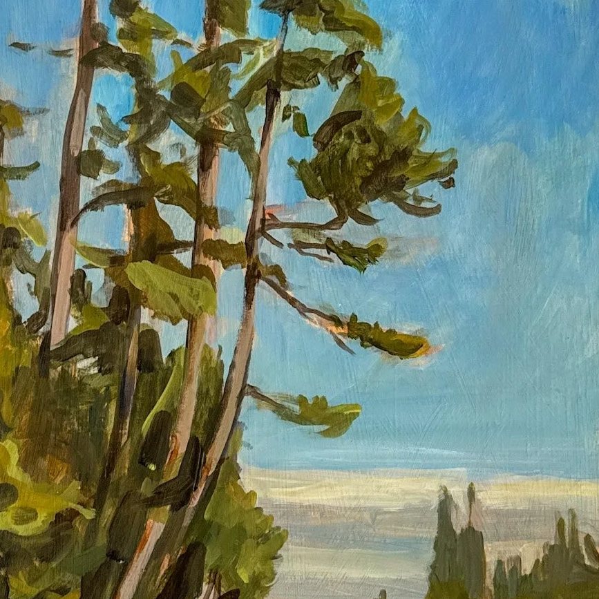 Bayside Copse by Nat Dickinson