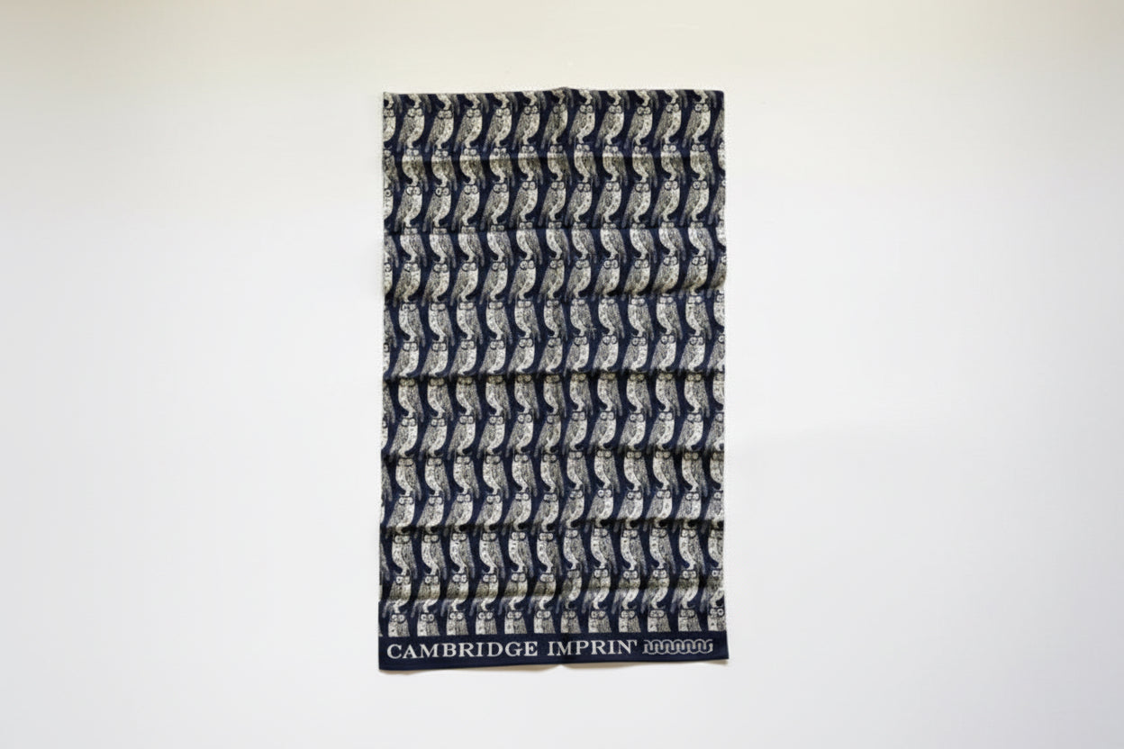 Cambridge Imprint towel with pattern on a white background