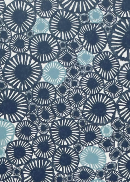 Barnacle Notebook by Jennifer Judd-McGee