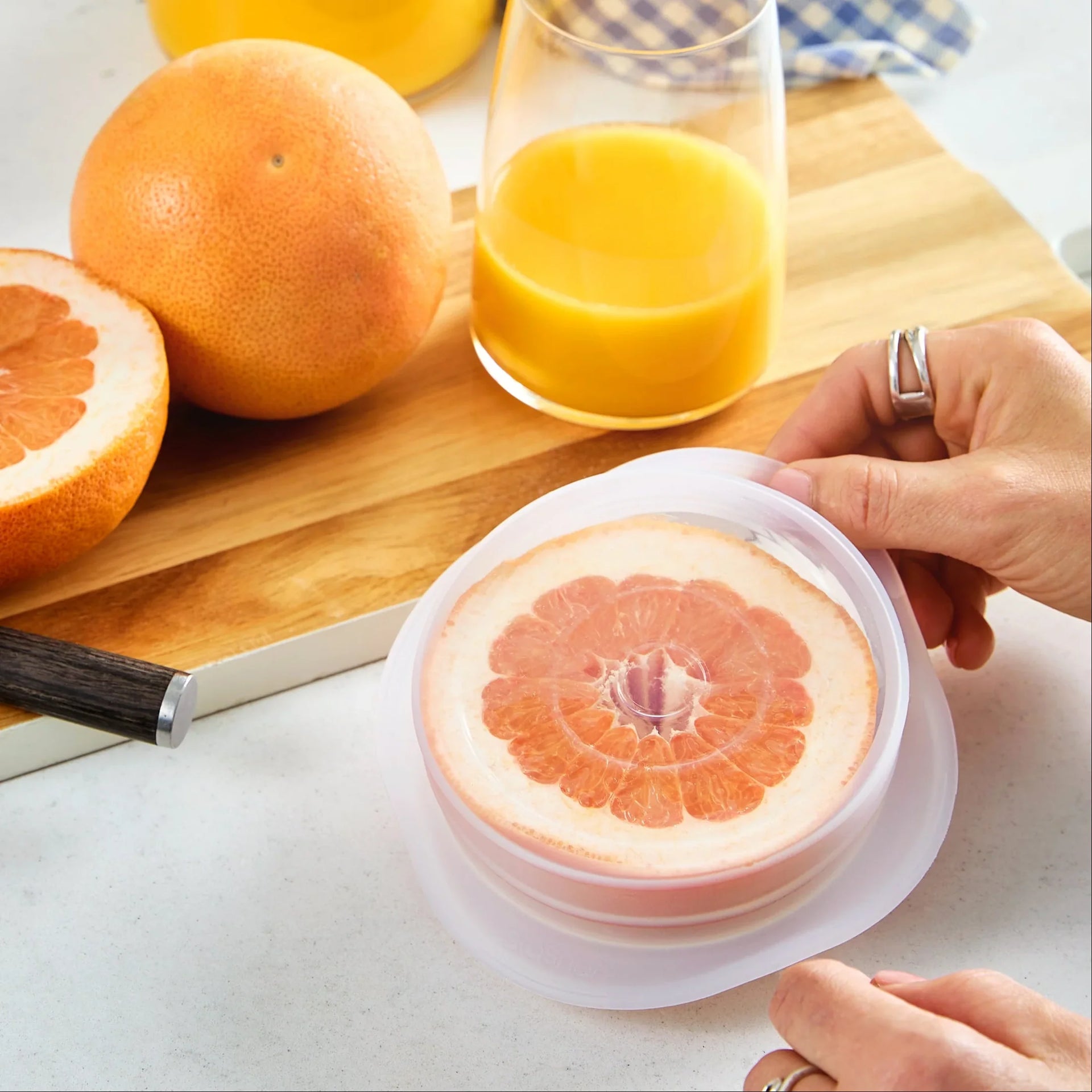 Stretch Lids Variety 4-Pack